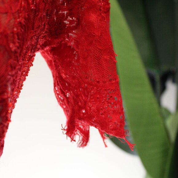 Marchessa Notte Red Diane Dress, Red Beaded Lace, Size 0 - Picture 12 of 15